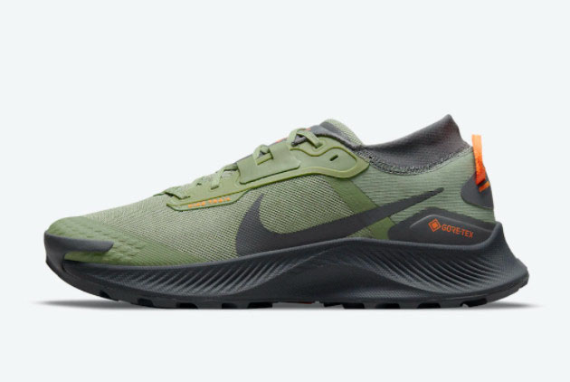 Nike Pegasus Trail 3 Gore-Tex Green DO6728-300 - Ultimate Waterproof Trail Shoes